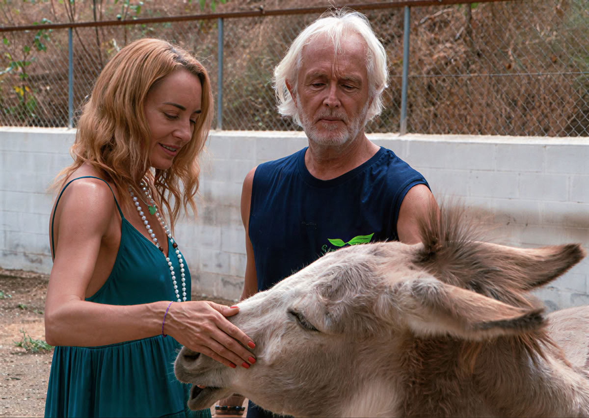 Yoga Retreat with Simon Low