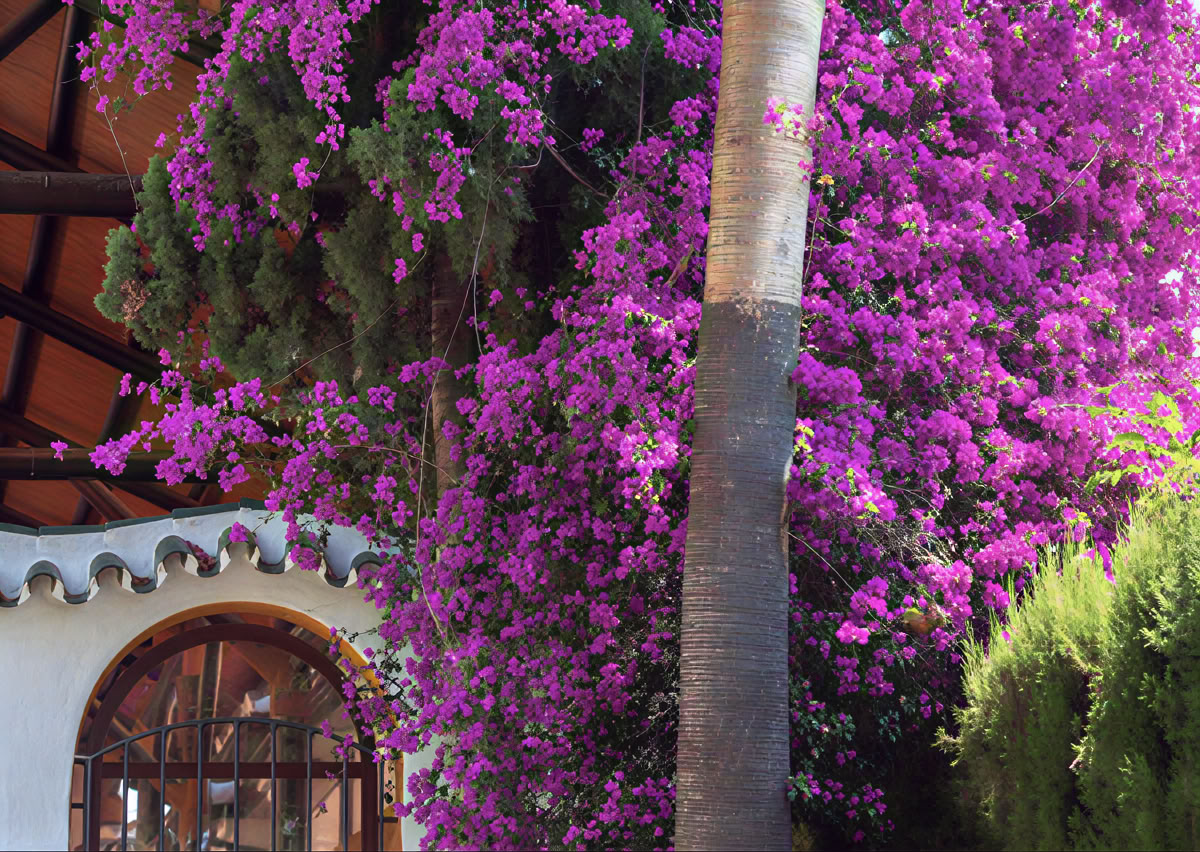 Yoga Retreat with Lisa Robert