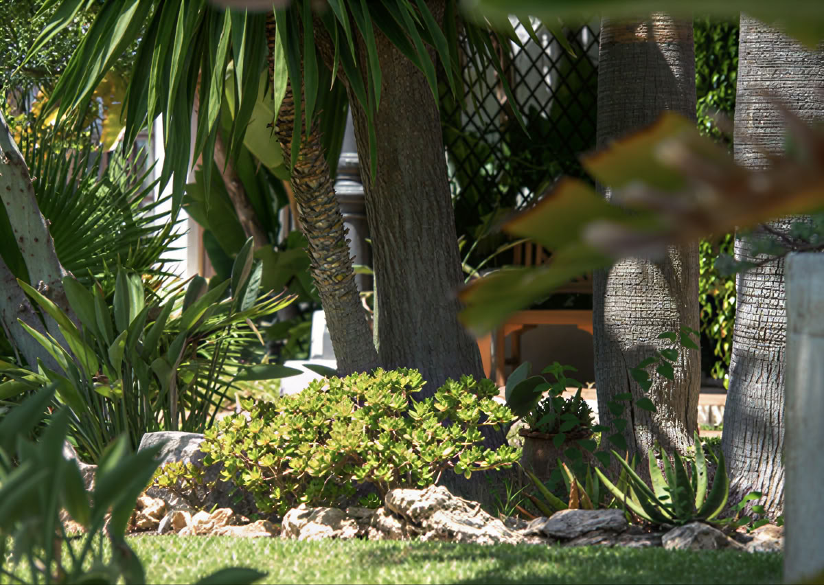 Wellness Retreat with Deirdre Fitzpatrick – Better mybody