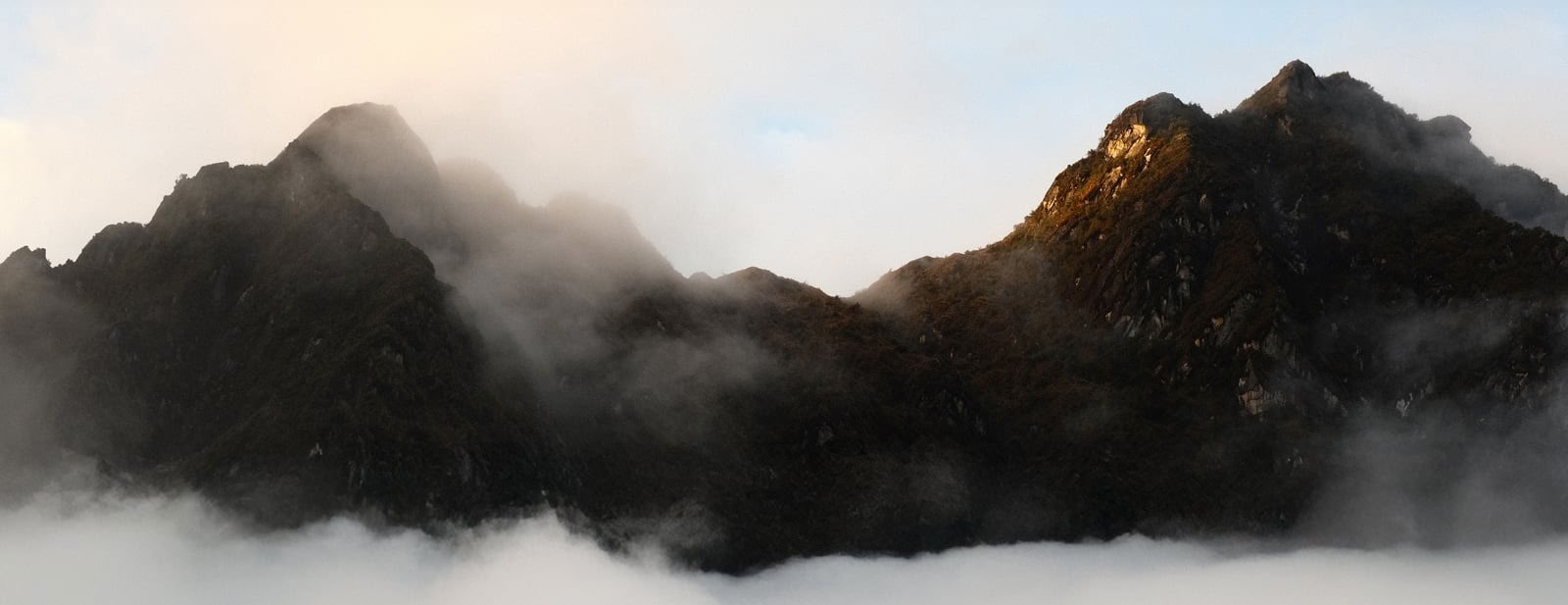 7 Day Ayahuasca Retreat