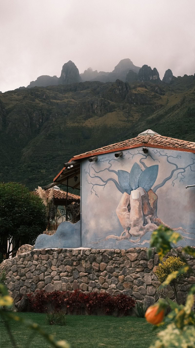 9-Day Ayahuasca Retreat
