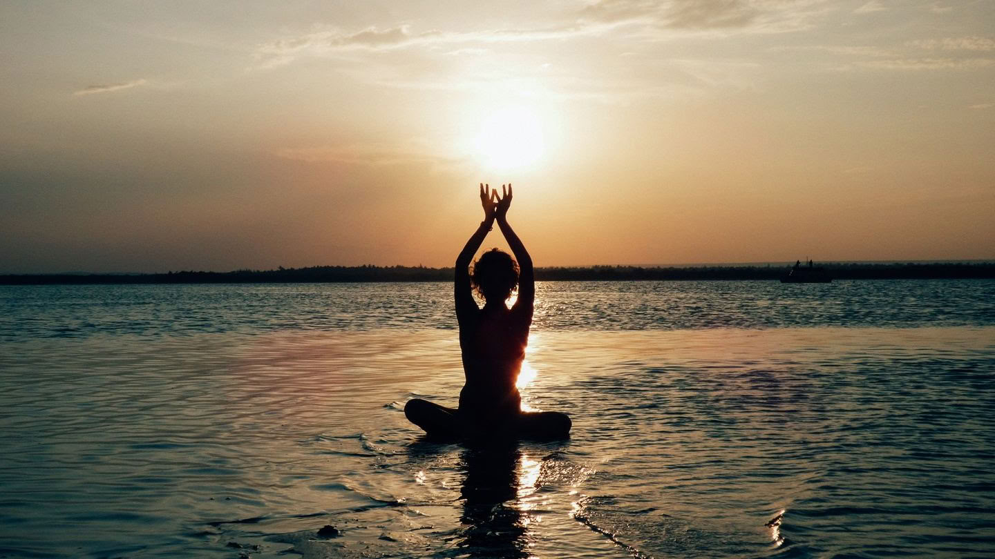 8 Day Waves, Wildlife, Wellness