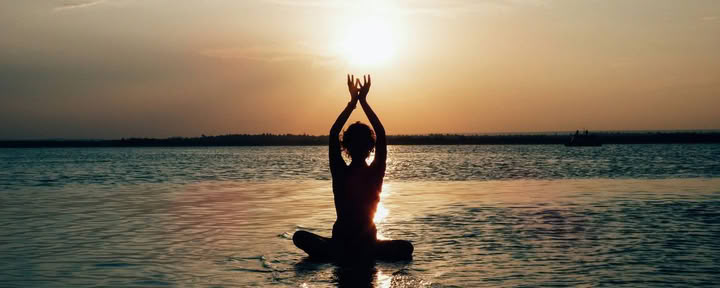 8 Day Waves, Wildlife, Wellness