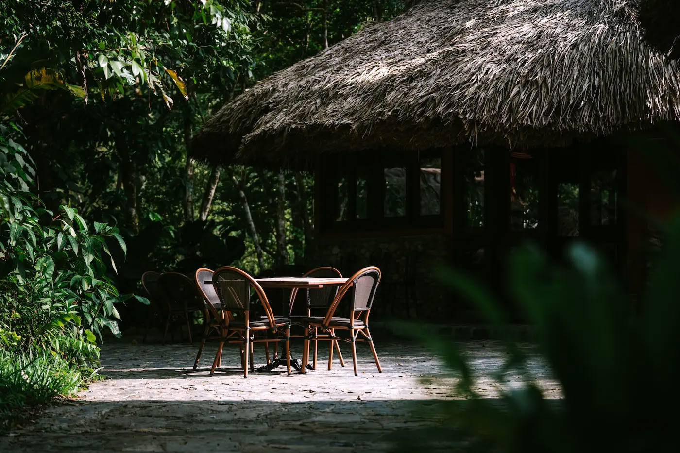 The Forest Meal At Thong Nguyen