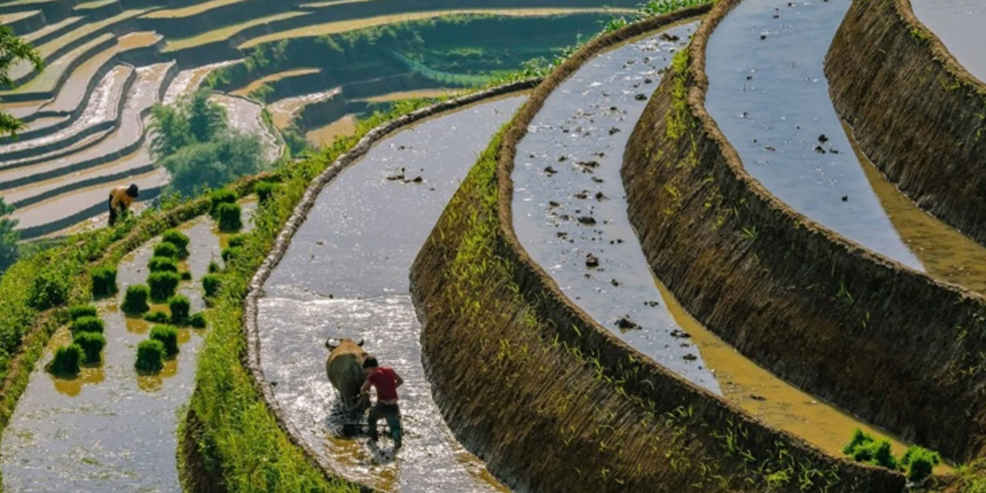 The Village Immersion Trek