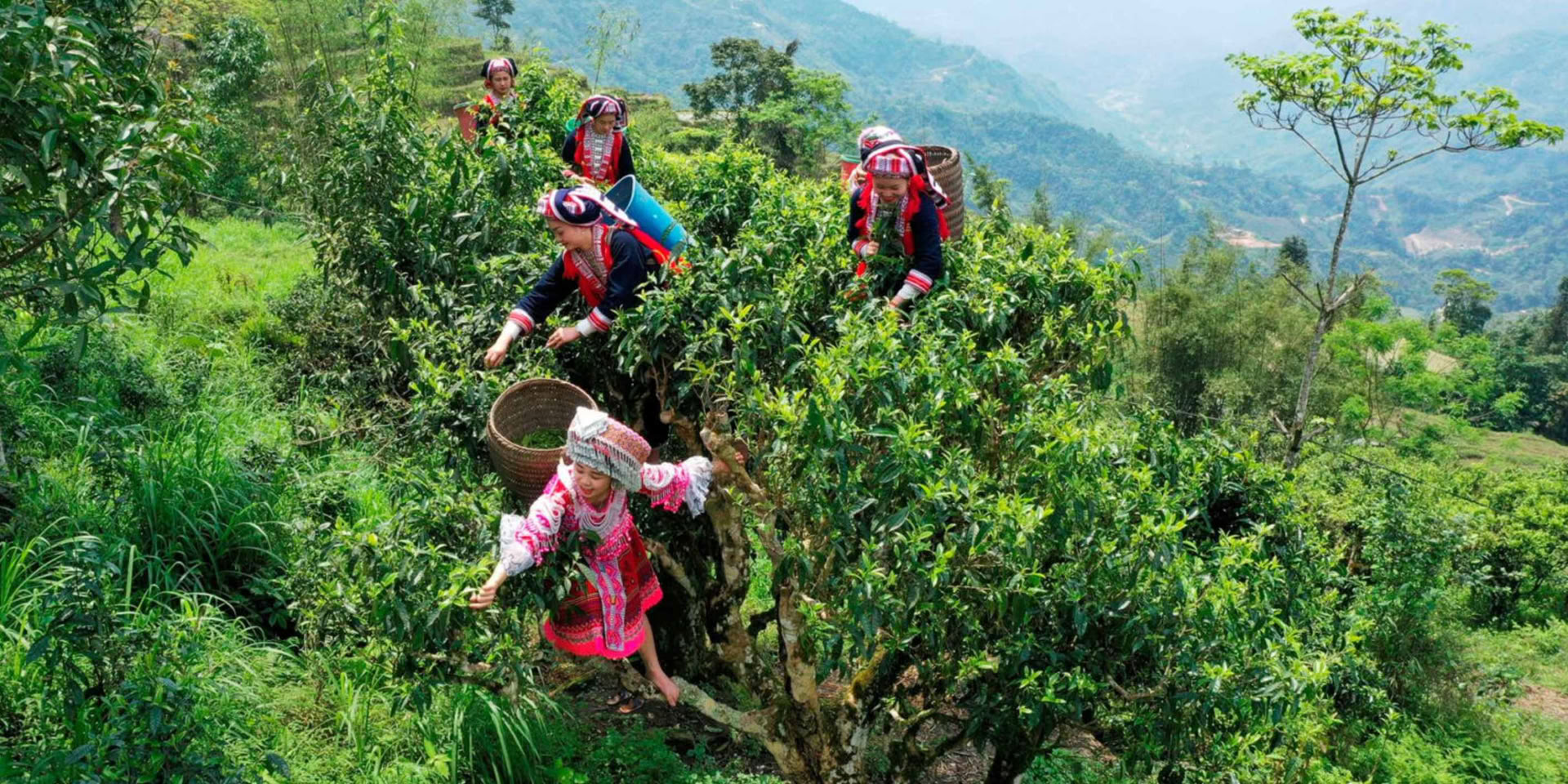 The Village Immersion Trek