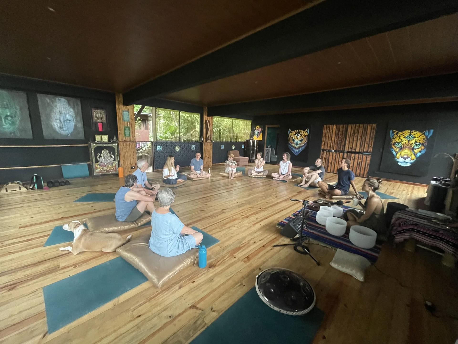 Floresta: 7-Day Medicine Music Immersion