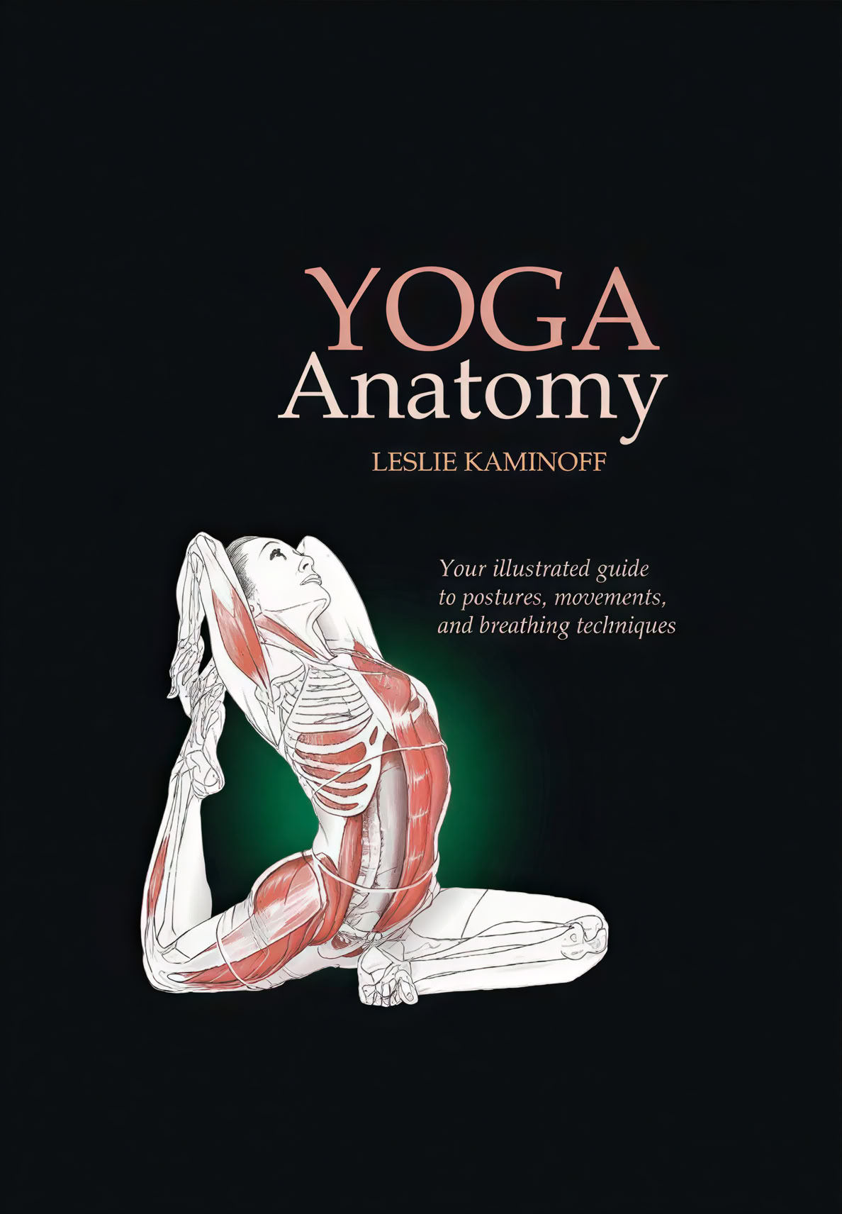 100 Hour Pranayama Teacher Training in Rishikesh