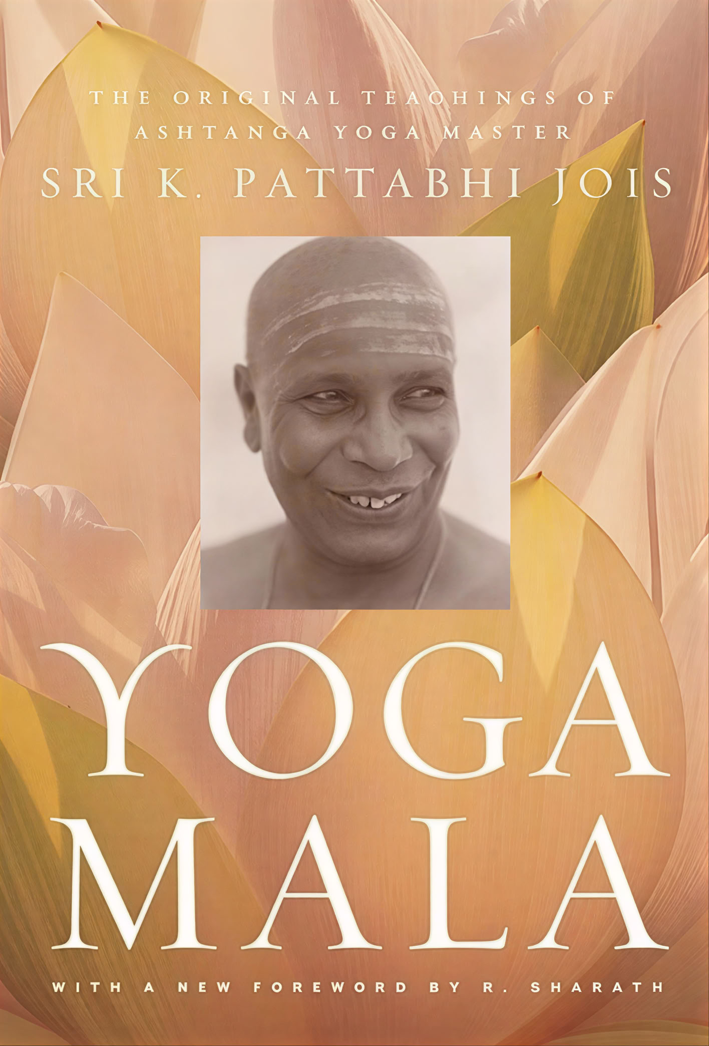 100 Hour Yoga Teacher Training for Beginners in Rishikesh, India