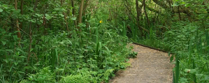 Reiki Level 1. Spiritual Journey. Reflection. 30 dayReiki. Reflection. Spiritual Journey.