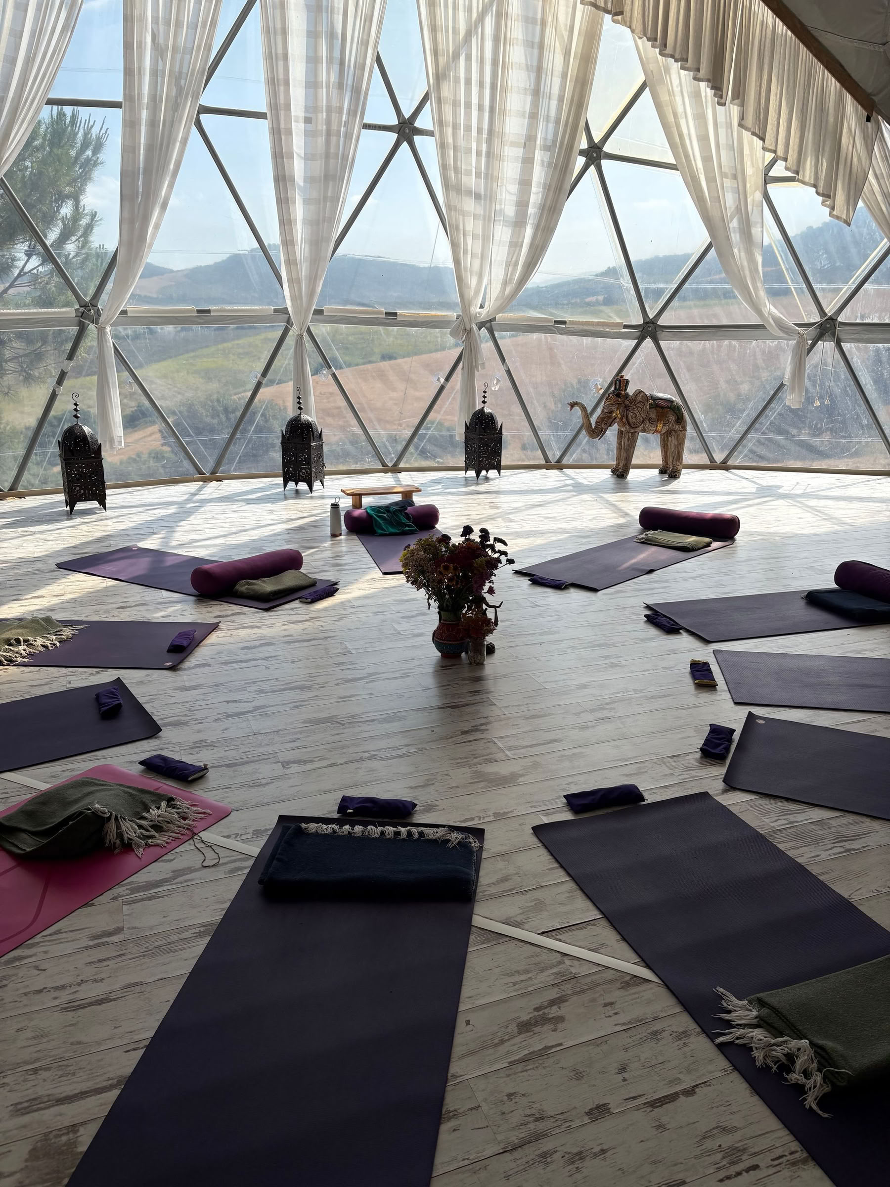 Yoga Foundations
