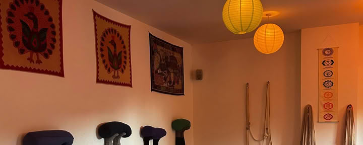 Vinyasa Level One