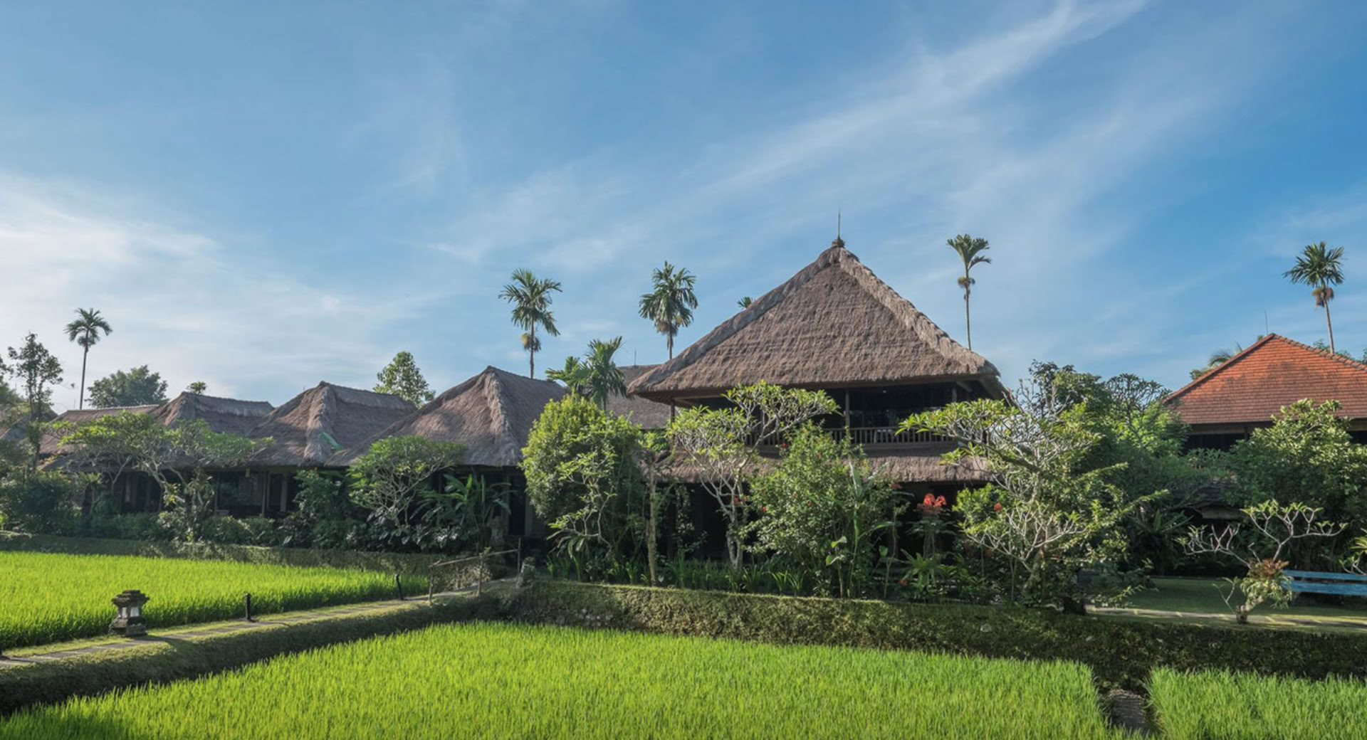 Bliss Out In Bali 2026 Retreat