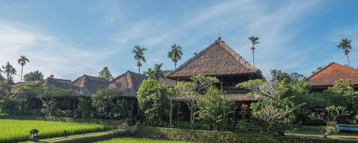 Bliss Out In Bali 2026 Retreat