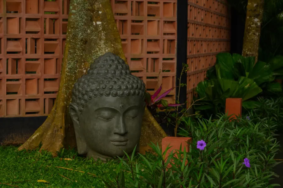 Yoga and Meditation