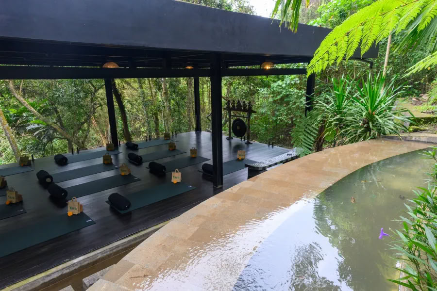 Yoga and Meditation