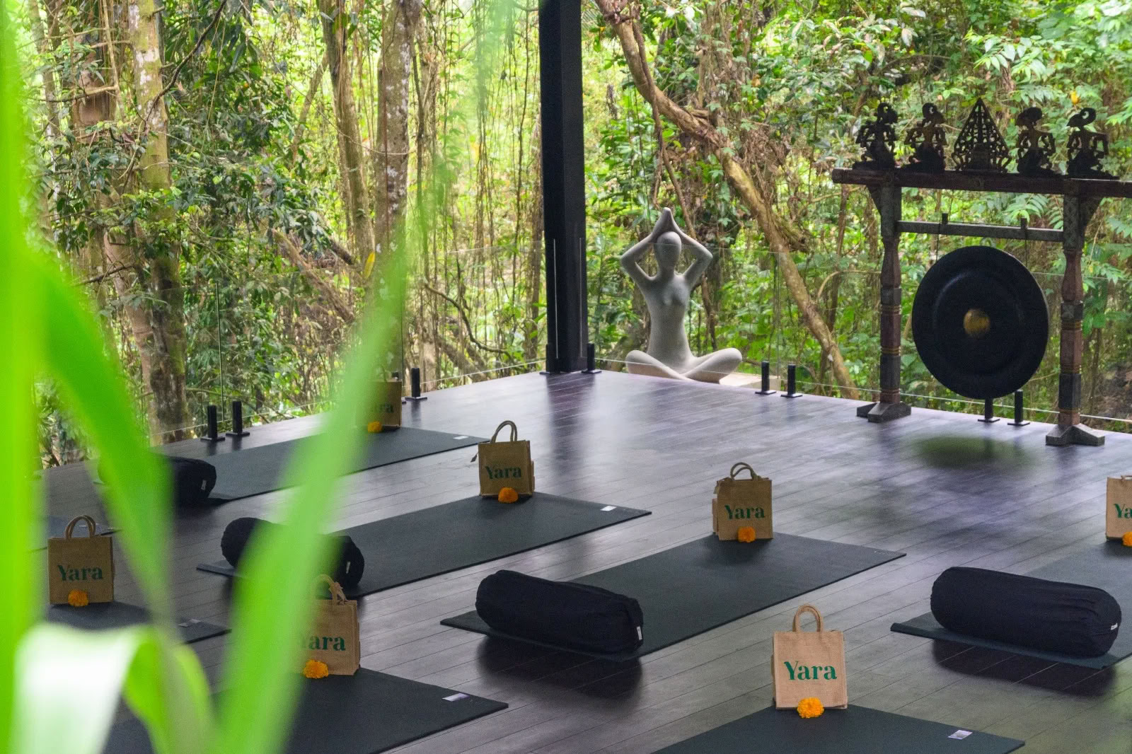 Yoga and Meditation