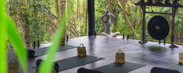Yoga and Meditation