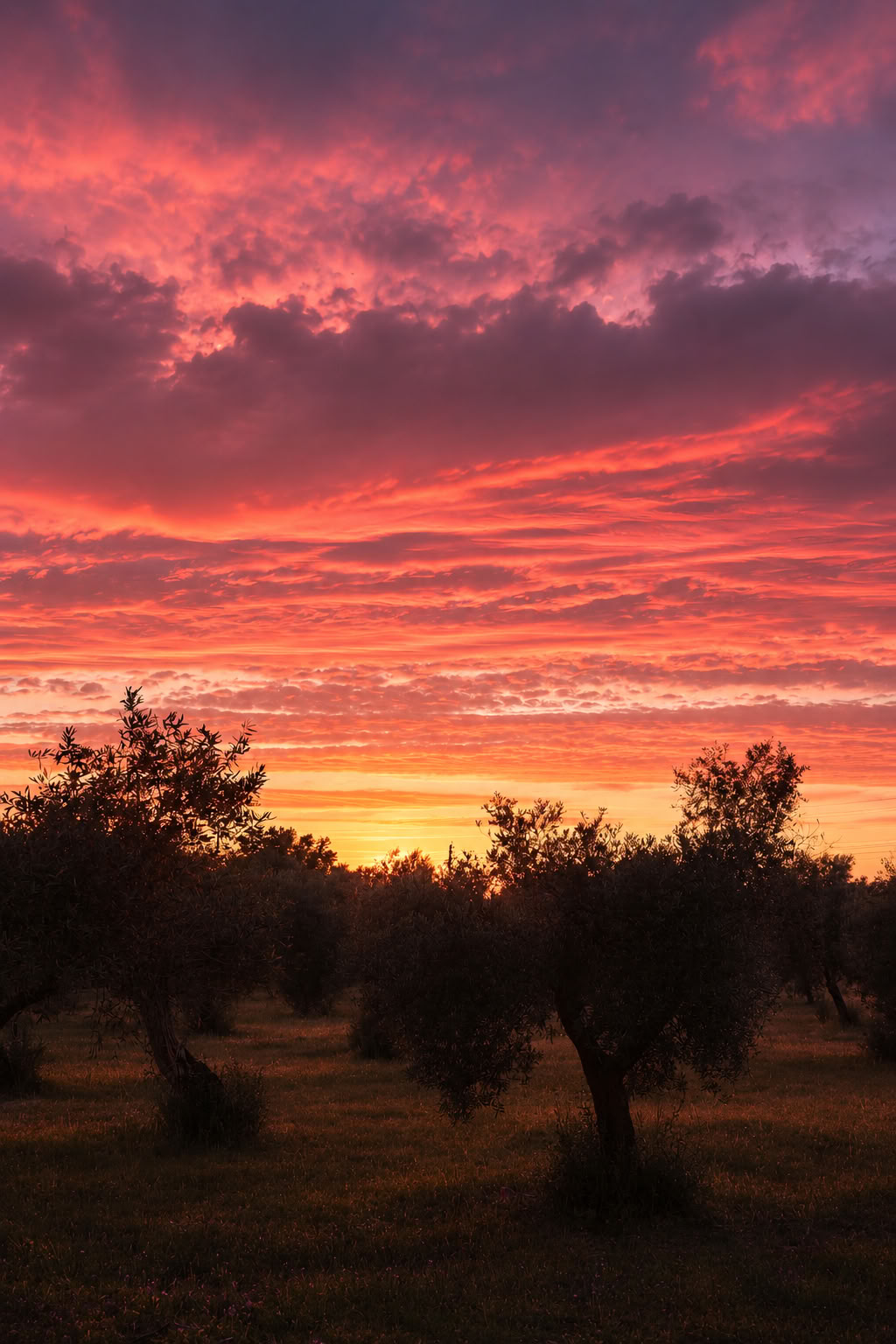 Travel Out, Discover Within: 6-Day Women’s Wellness Retreat in Portugal