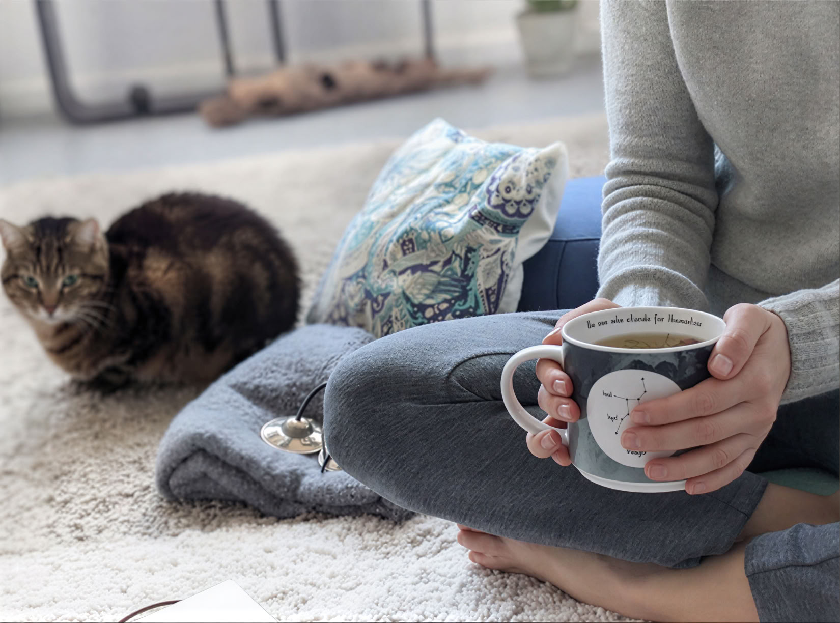 MBSR® Mindfulness Course In-Person Barcelona