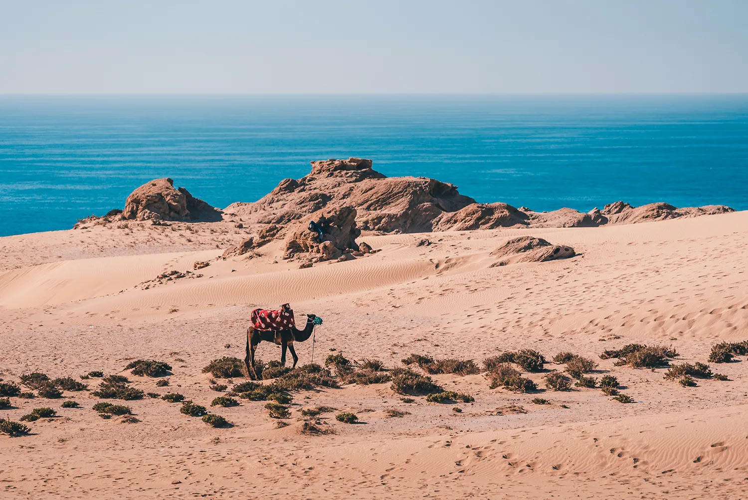 7 days Yoga, Meditation & Surf Retreat in morocco