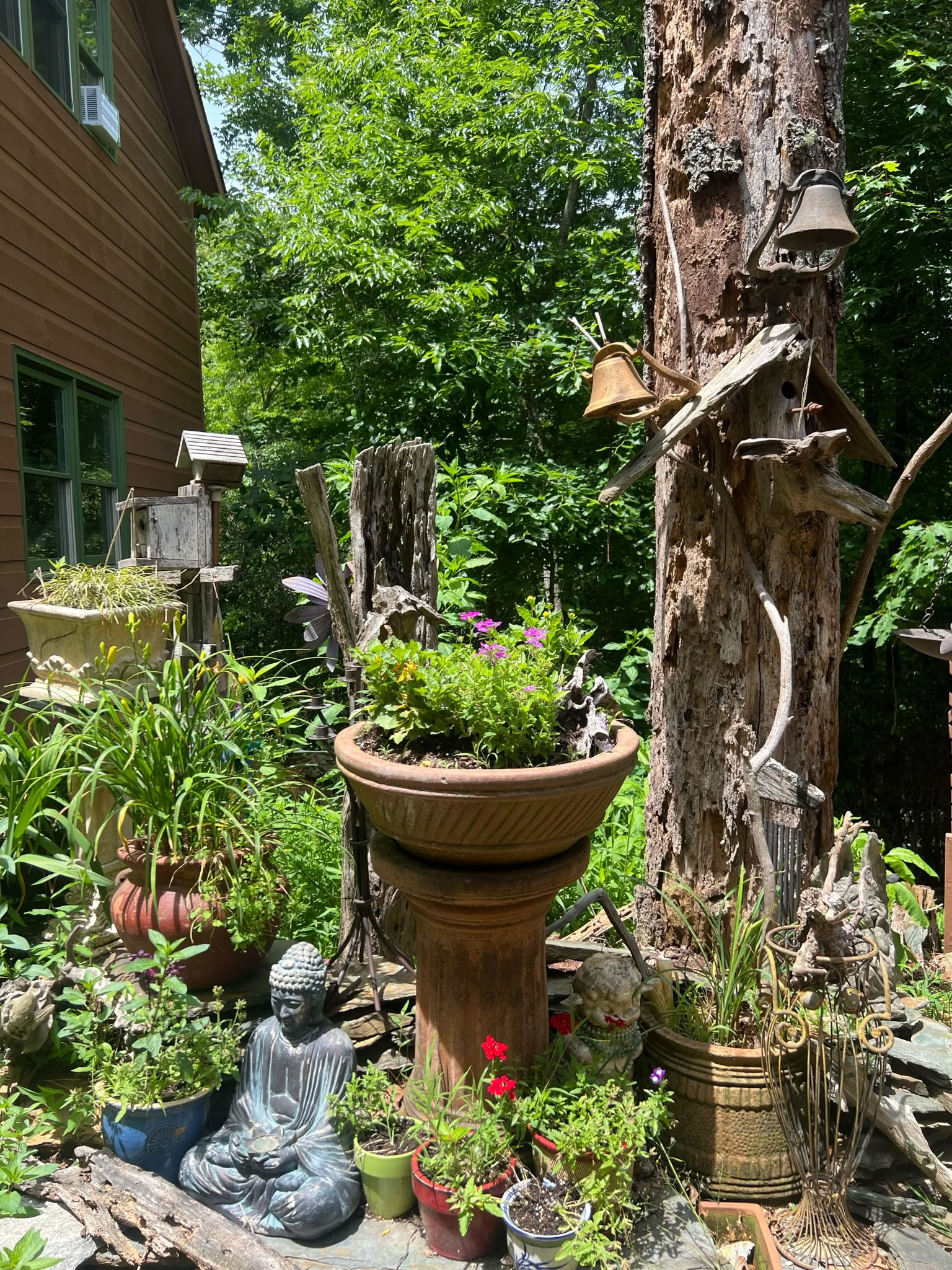 Making Meditation Habitual: A Yoga + Meditation Retreat