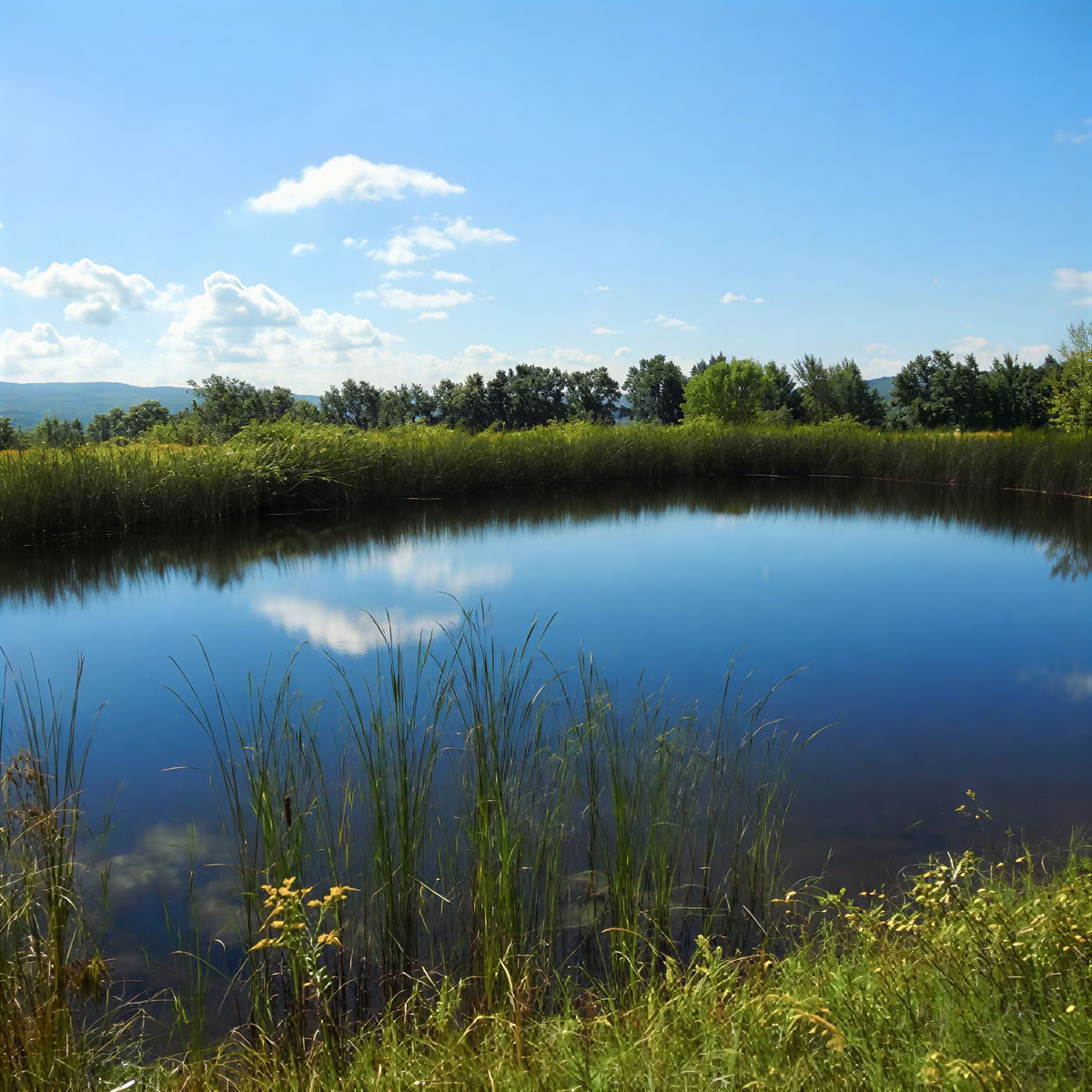 Saturday Retreat with Weekend Option