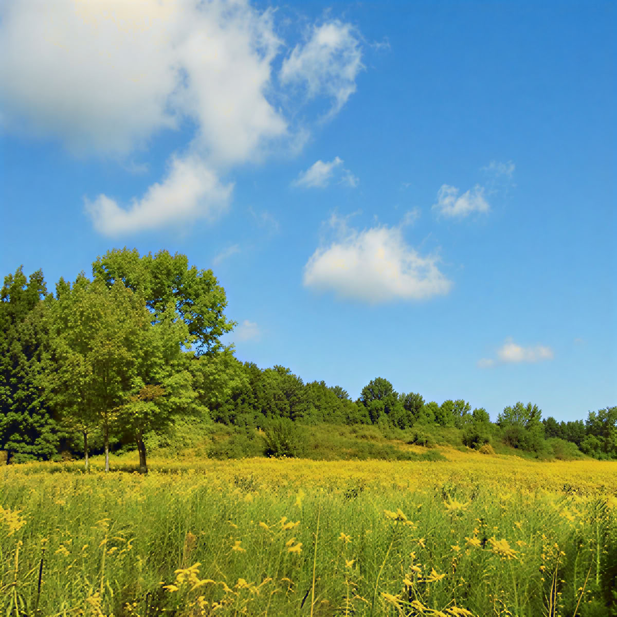 7-Day Retreat w/Richard Witteman