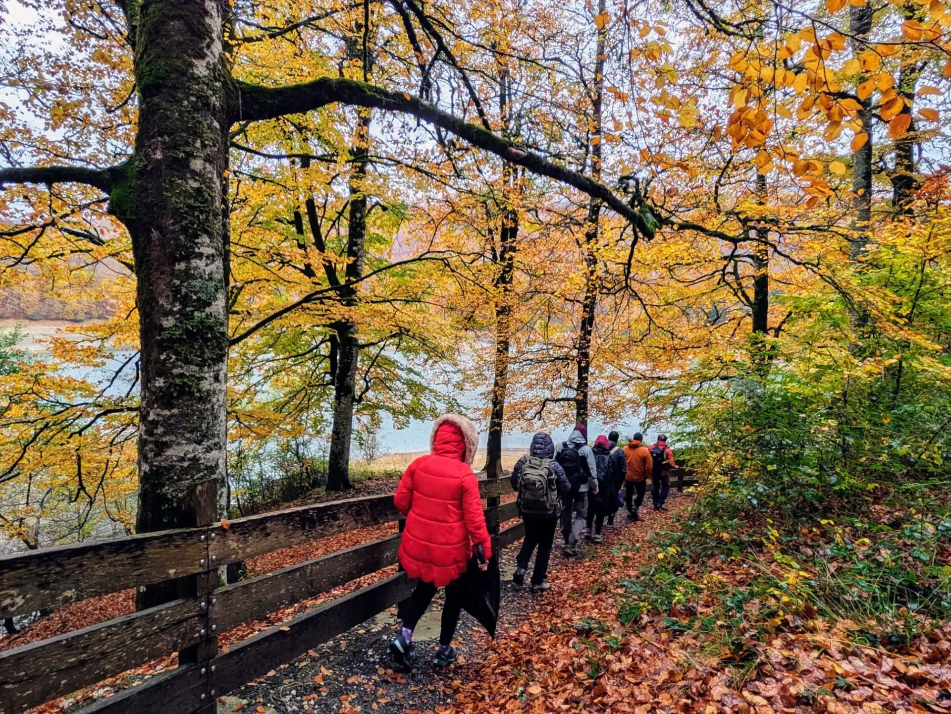 Meditation & Yoga Retreat: The Cozy November Escape