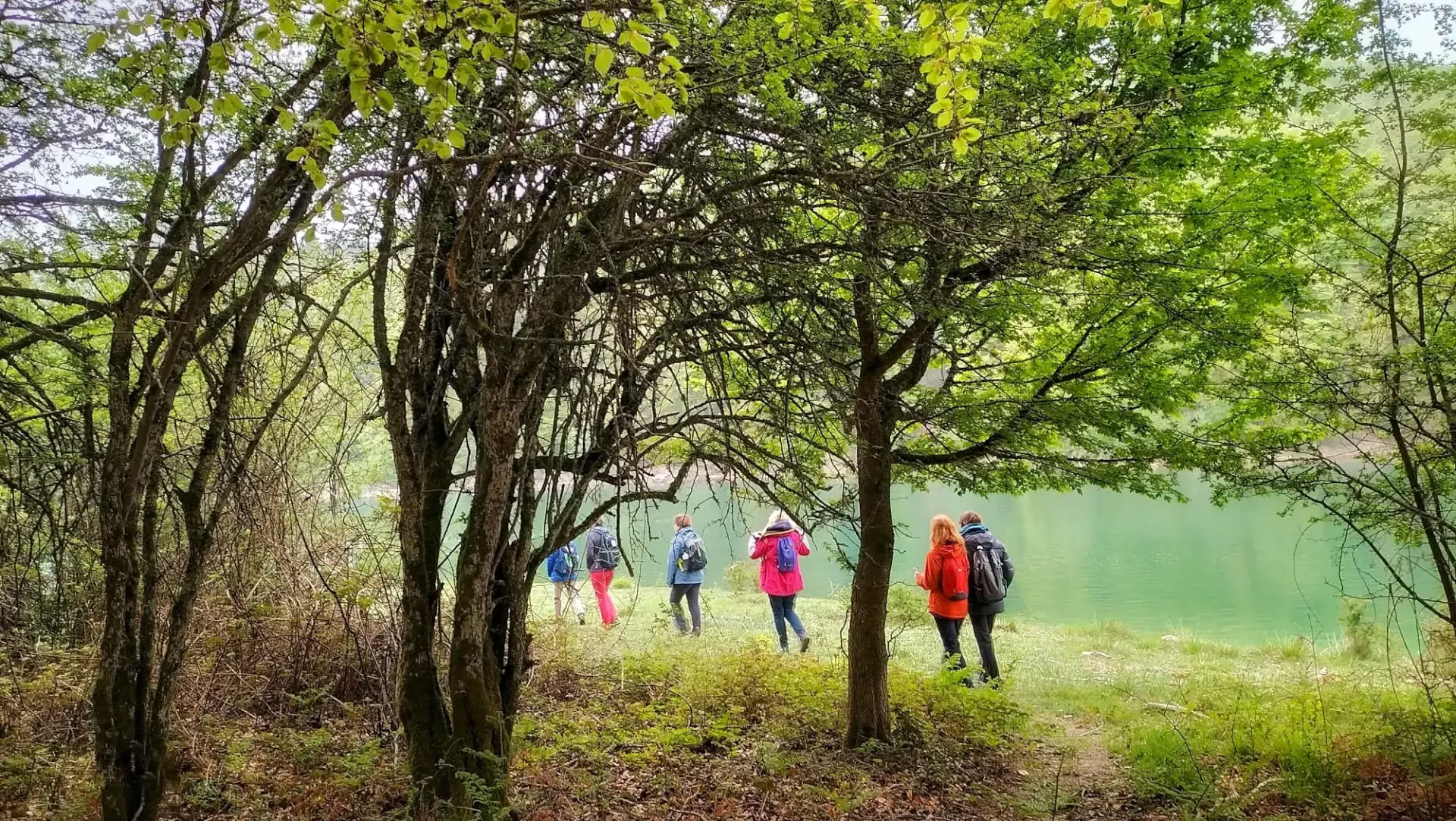 Meditation & Yoga Retreat: The Cozy November Escape