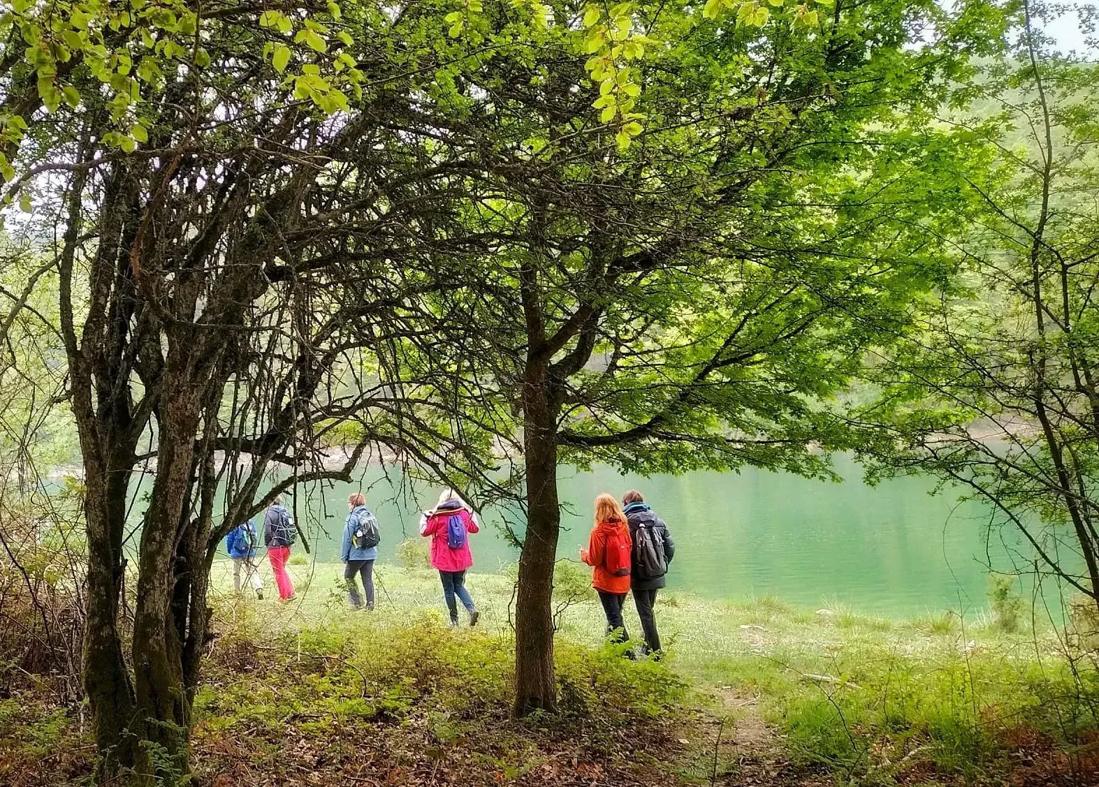 Renew and Reconnect: Yoga & Meditation Retreat in the Pyrenees