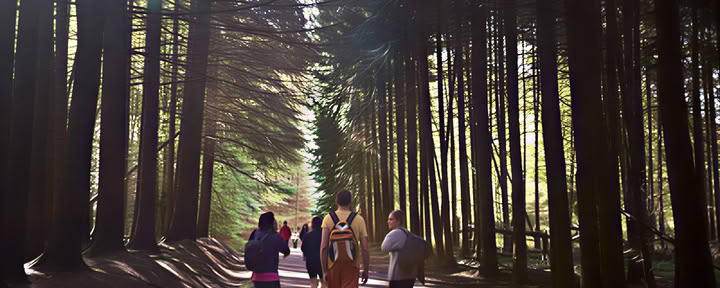 Wellness Retreat in Spain: September Reset & Recharge