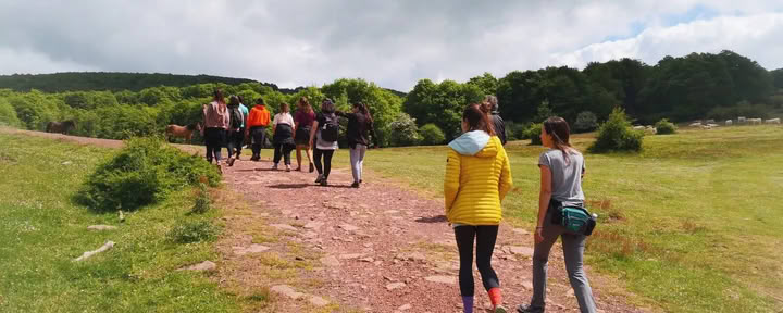 Yoga & Nature Retreat: The Golden Forest Immersion