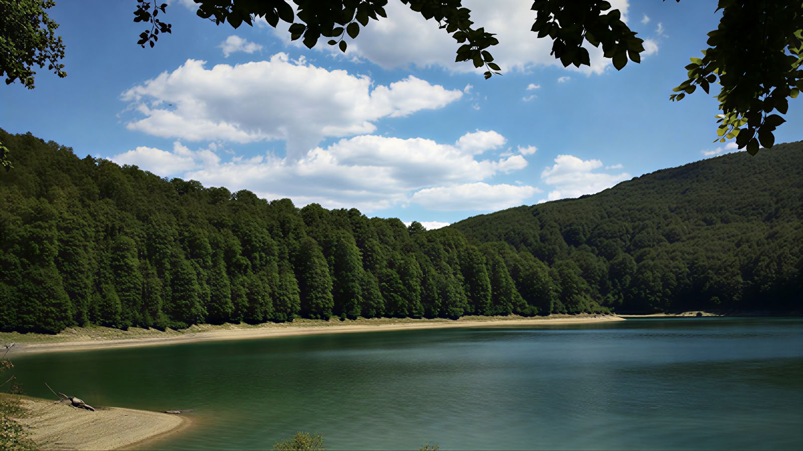 End of Summer Yoga Retreat: Recharge for September