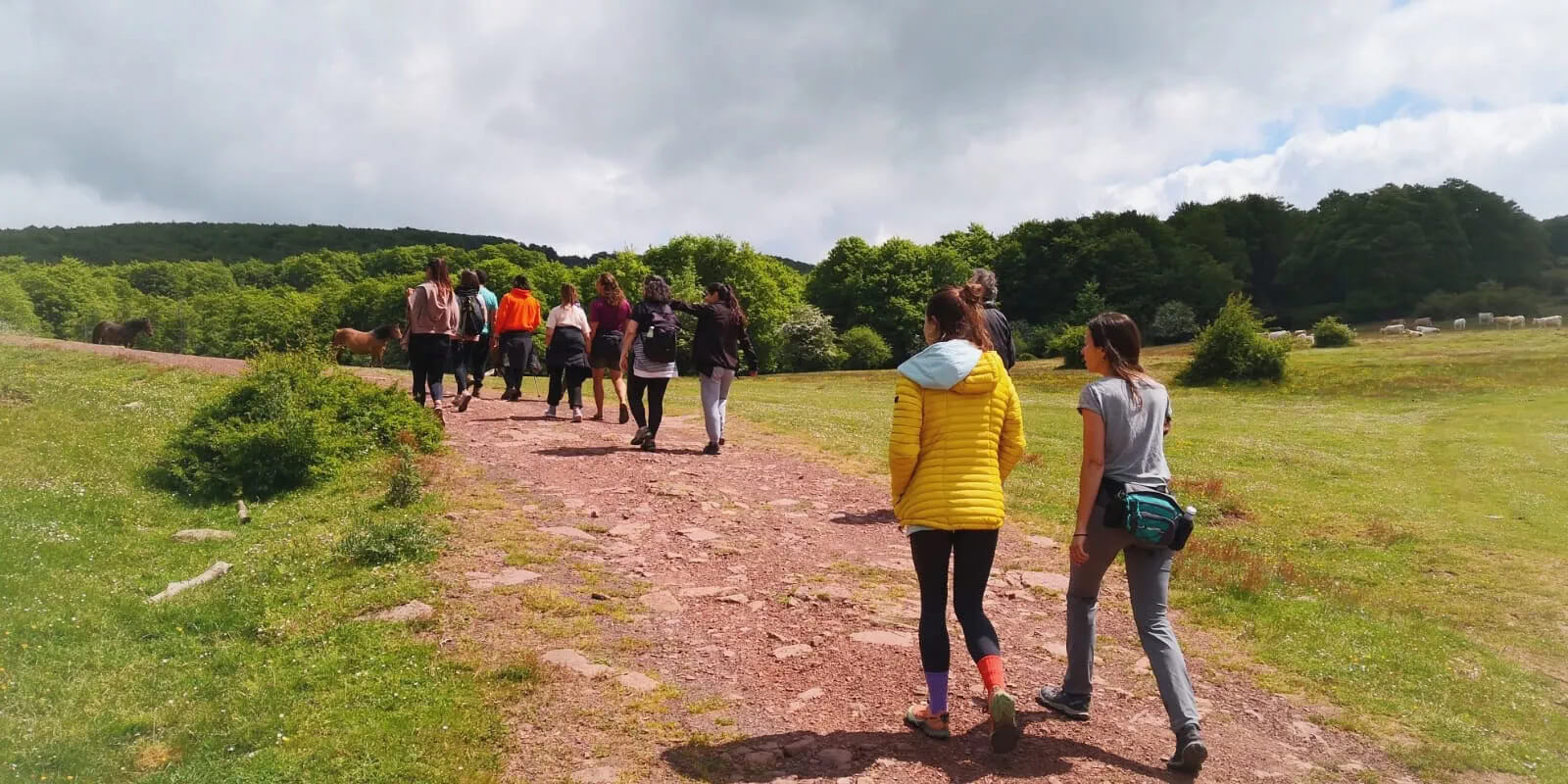 Summer Silence Retreat: Yoga & Psychology in the Pyrenees