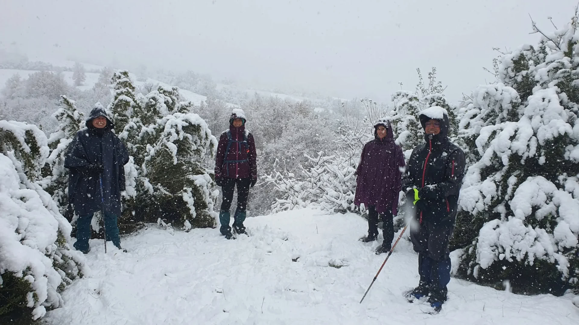 Winter Wellness Retreat: Find Your Inner Silence in the Pyrenees
