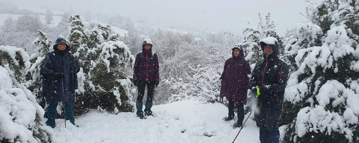 Winter Wellness Retreat: Find Your Inner Silence in the Pyrenees