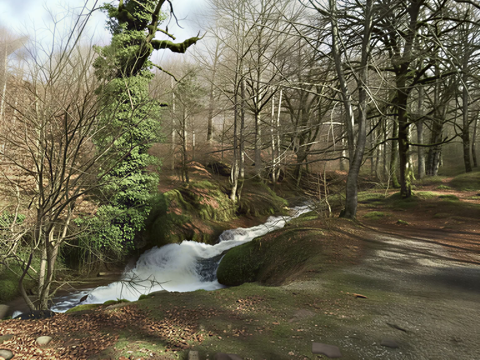 Mindfulness & Yoga Sanctuary: A Professional Winter Reset in the Pyrenees