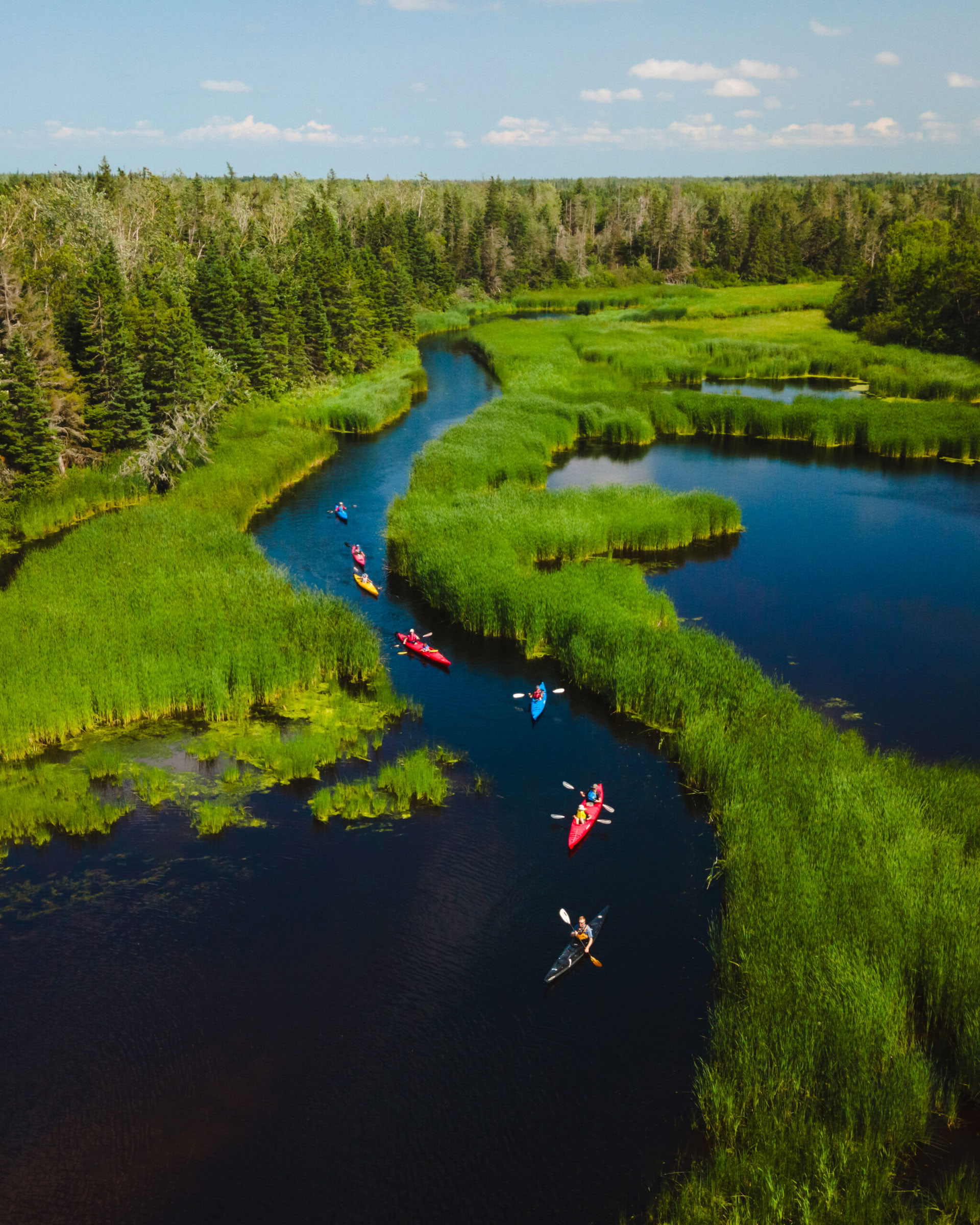 Summer Camp for Adults - JULY