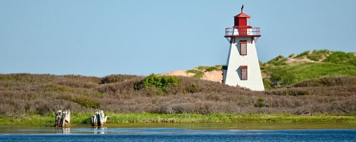 Rising Tides Veterinary Wellness & Leadership Retreat