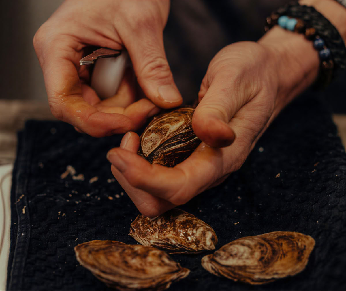 Embrace the Harvest - Mindful Eating Retreat