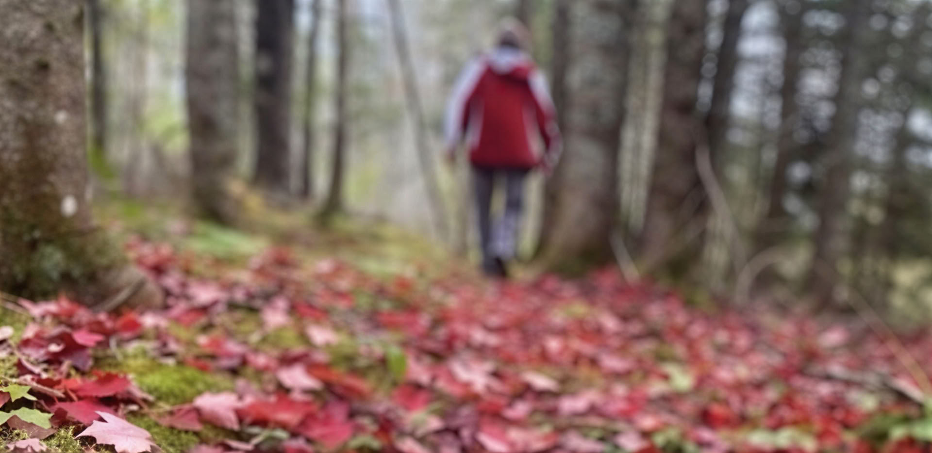 Reframe Your Focus: A Mindful Photography Retreat