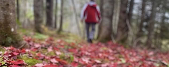 Reframe Your Focus: A Mindful Photography Retreat