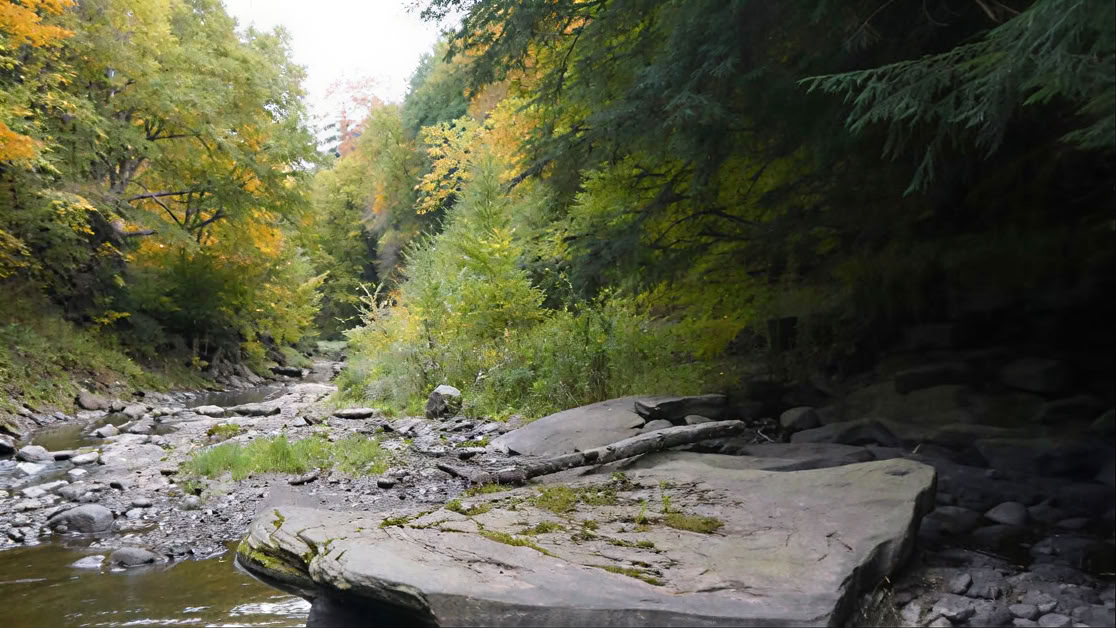Why host your program or retreat at Blue Deer Center?