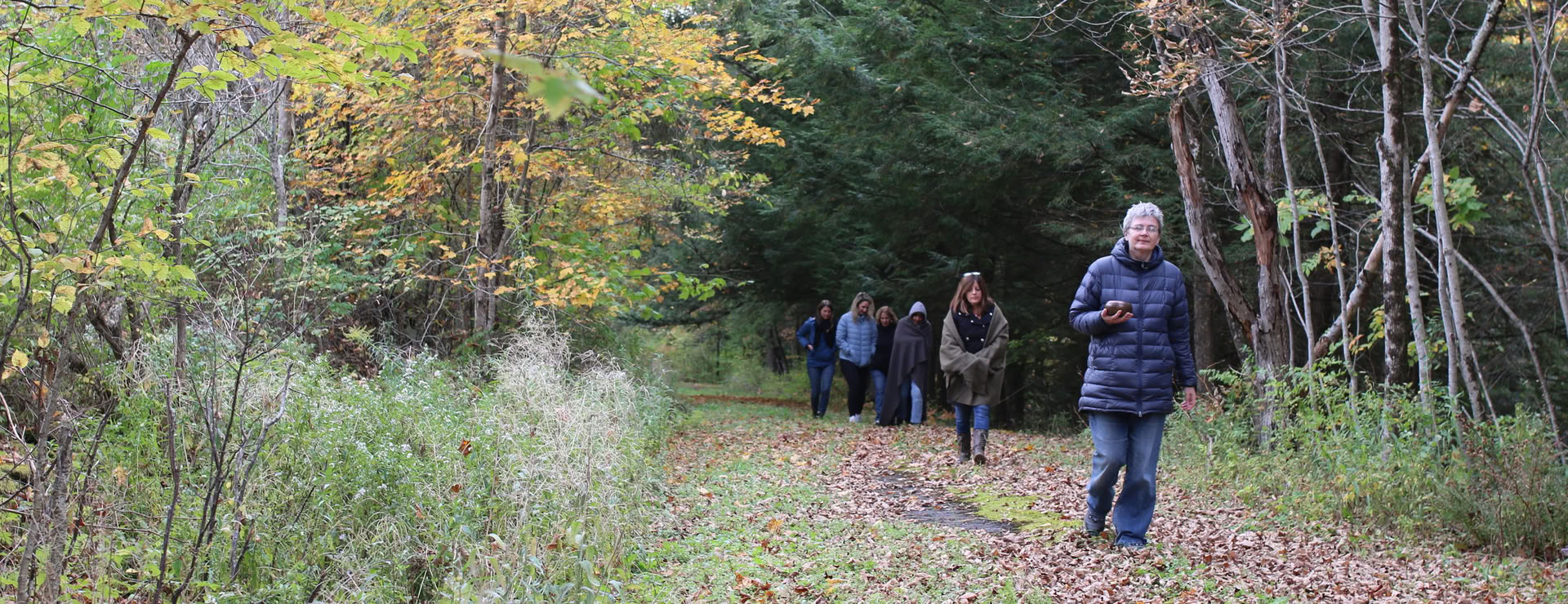 Forest Bathing