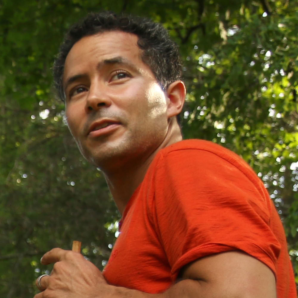 Forest Bathing
