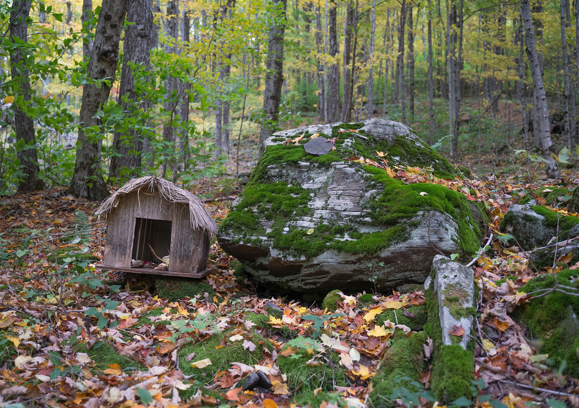 Headwaters Offerings