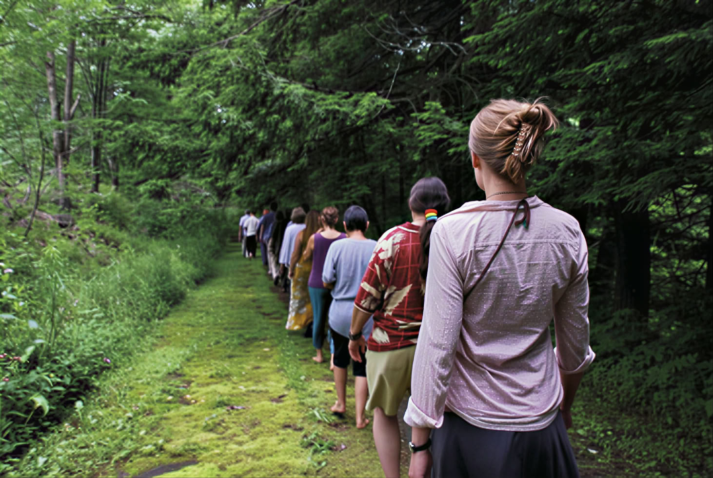 Deepening Our Connection with Plants and Spirit