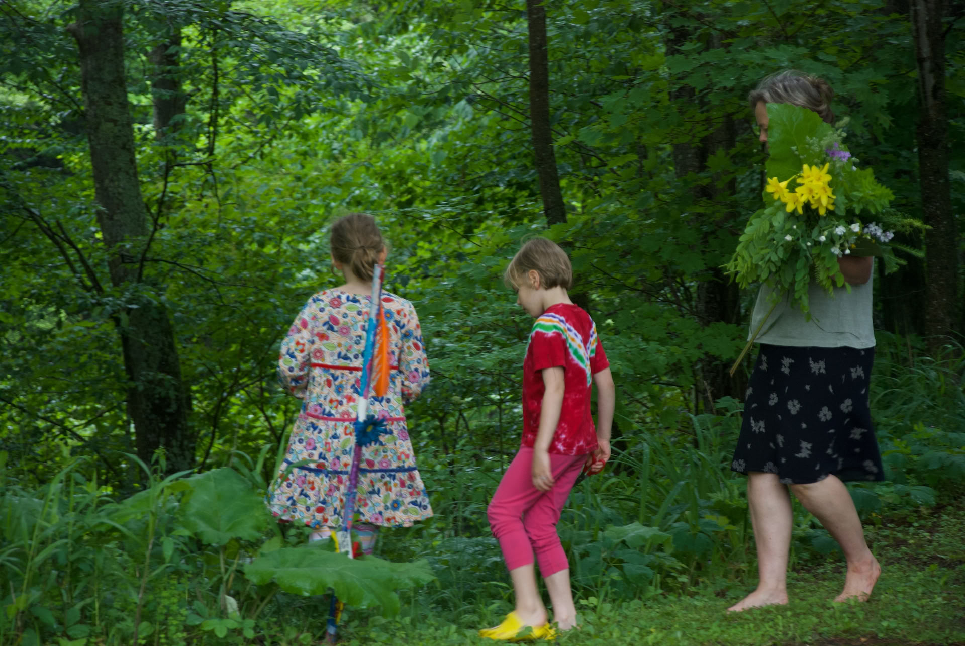 Deepening Our Connection with Plants and Spirit