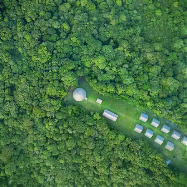 Ayahuasca Immersion